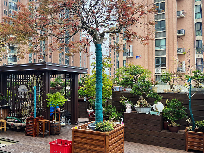 Rooftop Pergola Deck & Custom Planter Boxes