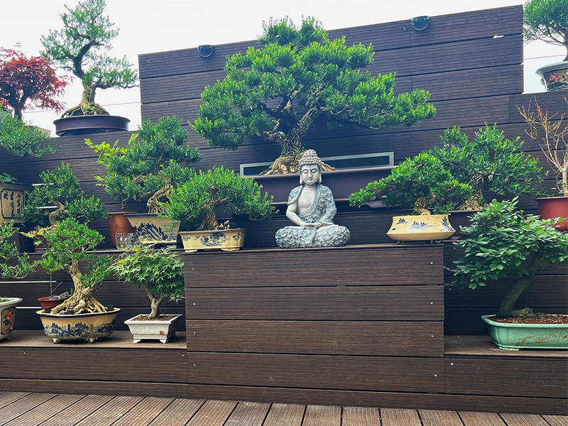 Tiered Bonsai Garden Display Platform